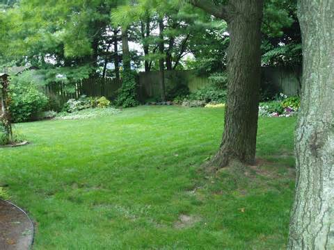 Pet Proofing Your Yard - Apple Valley Animal Hospital - Hendersonville, NC Pet Proofing Your Yard - Apple Valley Animal Hospital - Hendersonville, NC