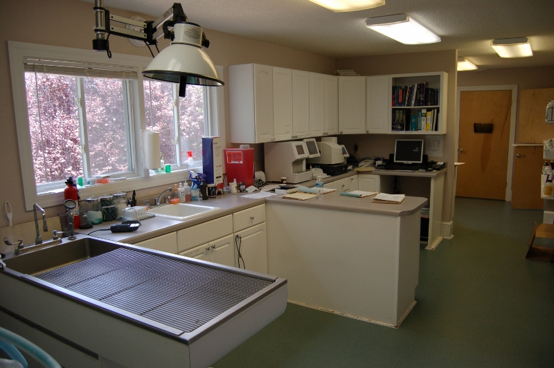 Apple Valley Animal Hospital, Hendersonville, NC: Treatment Area