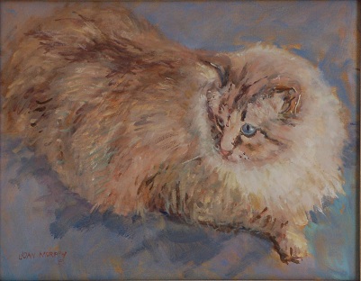 Feline Care - Apple Valley Animal Hospital - Hendersonville, NC Feline Care - Apple Valley Animal Hospital - Hendersonville, NC