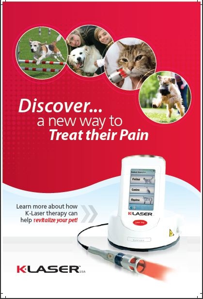 K-Laser Therapy - Apple Valley Animal Hospital - Hendersonville, NC