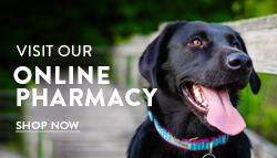 VetsFirst Choice Online Pharmacy - Apple Valley Animal Hospital - Hendersonville, NC VetsFirst Choice Online Pharmacy - Apple Valley Animal Hospital - Hendersonville, NC