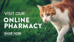 VetsFirstChoice Online Pharmacy - Apple Valley Animal Hospital - Hendersonville, NC
